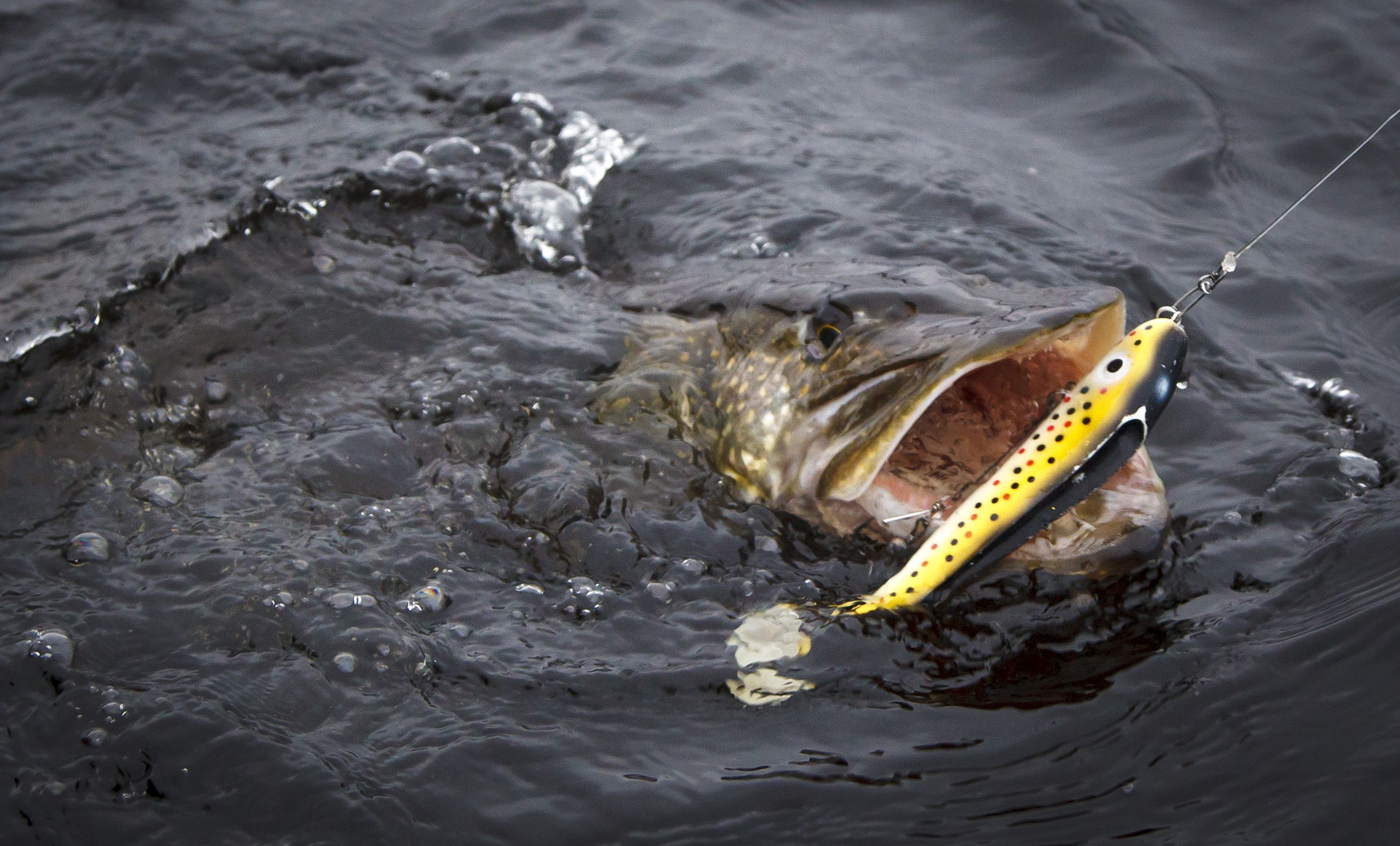 What s the Best Fly-Fishing Gear? Outside Online