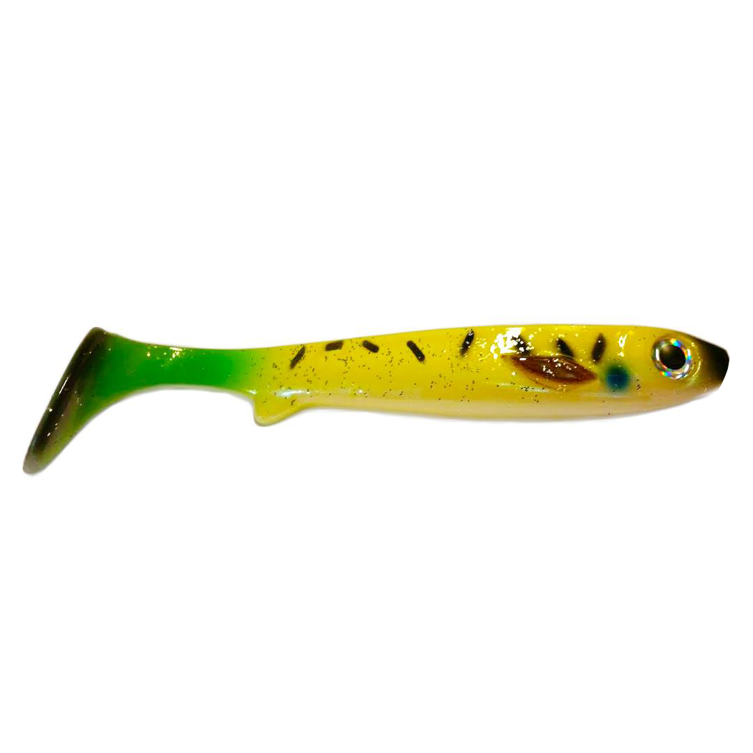 Picture of Flatnose Shad - African Pike OS