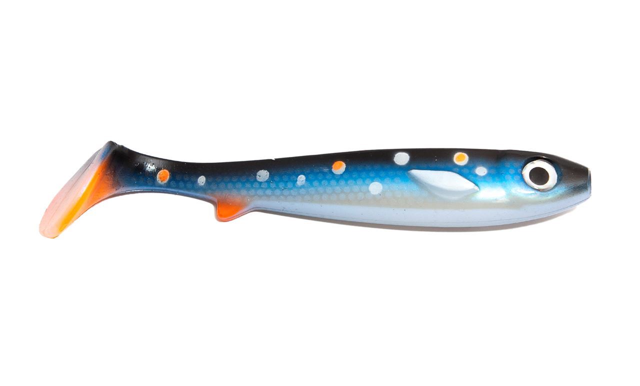 Picture of Flatnose Shad - Blue Searcher