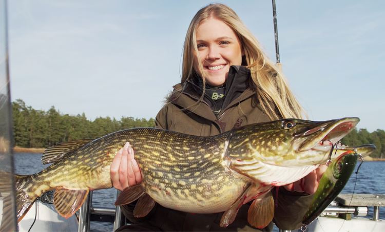 Picture of Big Bandit - Shallow Runner - Hot Pike