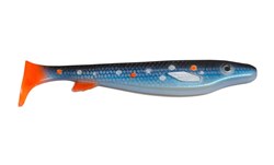 Picture of Fatnose Shad - Blue Searcher