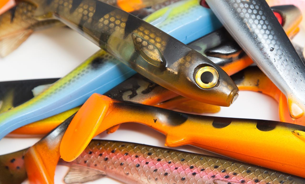 Picture of Flatnose Shad - Transparent Perch