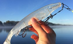 Picture of Fatnose Shad - Crystal Clear
