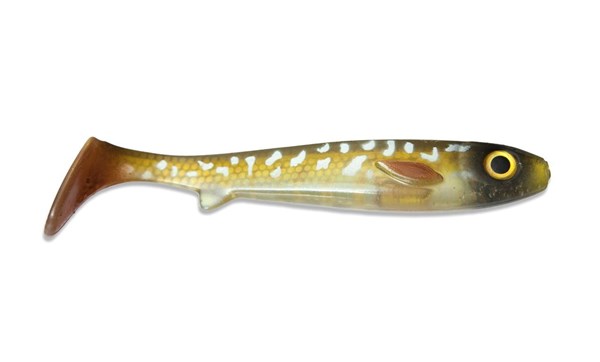 Picture of Flatnose Shad - Crystal Pike
