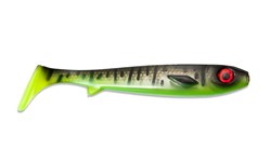 Picture of Flatnose Shad - Yellow Dawn Clear