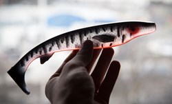 Picture of Fatnose Shad - Search & Destroy Clear