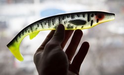 Picture of Fatnose Shad - Yellow Dawn Clear