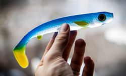 Picture of Flatnose Shad - Clear Blue Lemonade - "Mille's 10+"