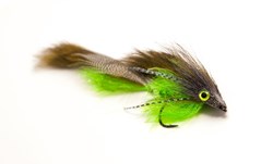 Picture of Andersson's Sid - Brown/Chartreuse