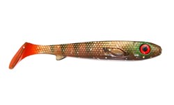 Picture of Flatnose Shad - Motorperch OS