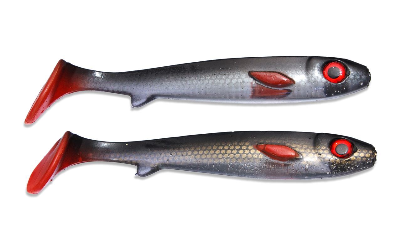 Picture of Flatnose Shad - The Roachie OS - Golden Scales