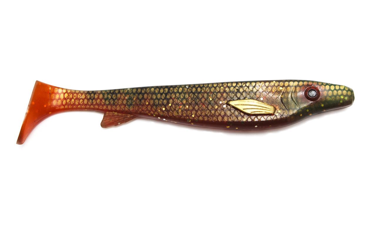 Picture of Fatnose Shad - Motorperch OS