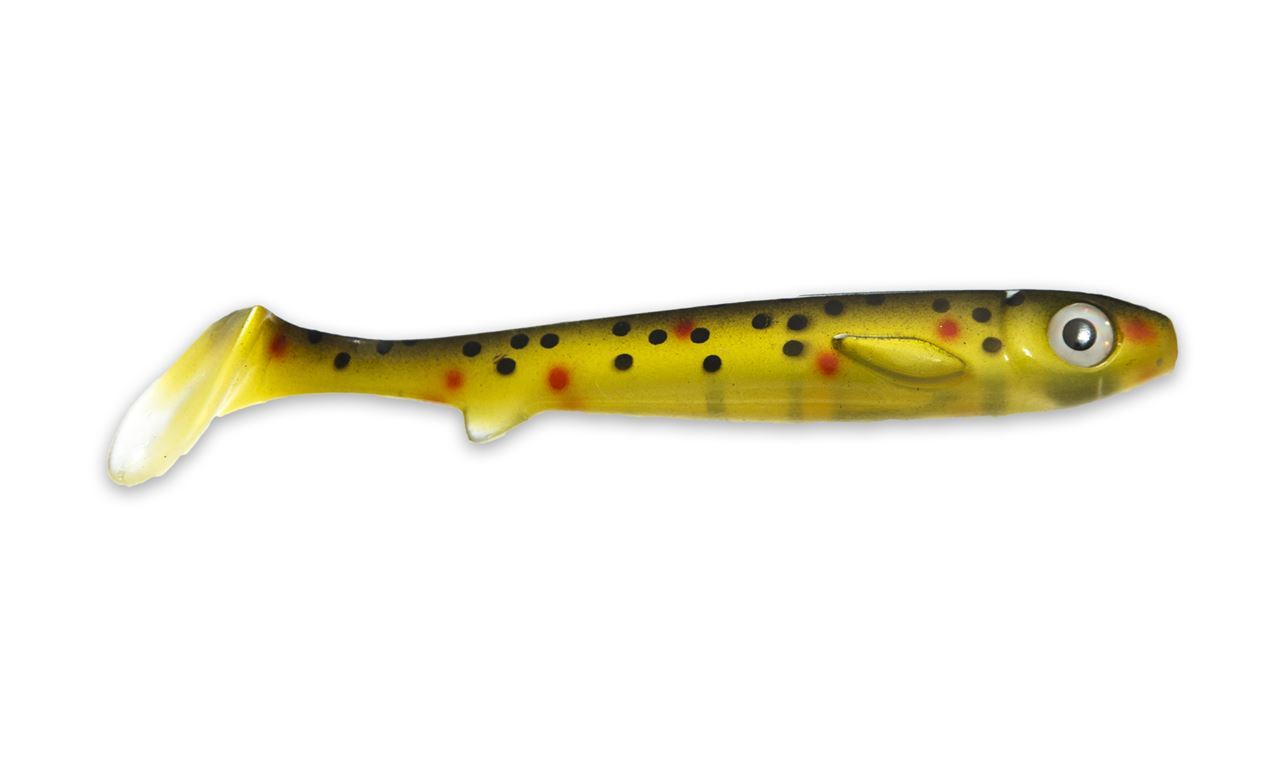 Picture of Flatnose Shad - Crystal Smolt