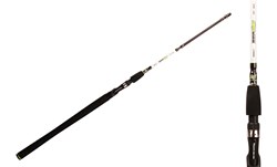 Picture of BFT Raptor 6'6'' Jerkbait -150g