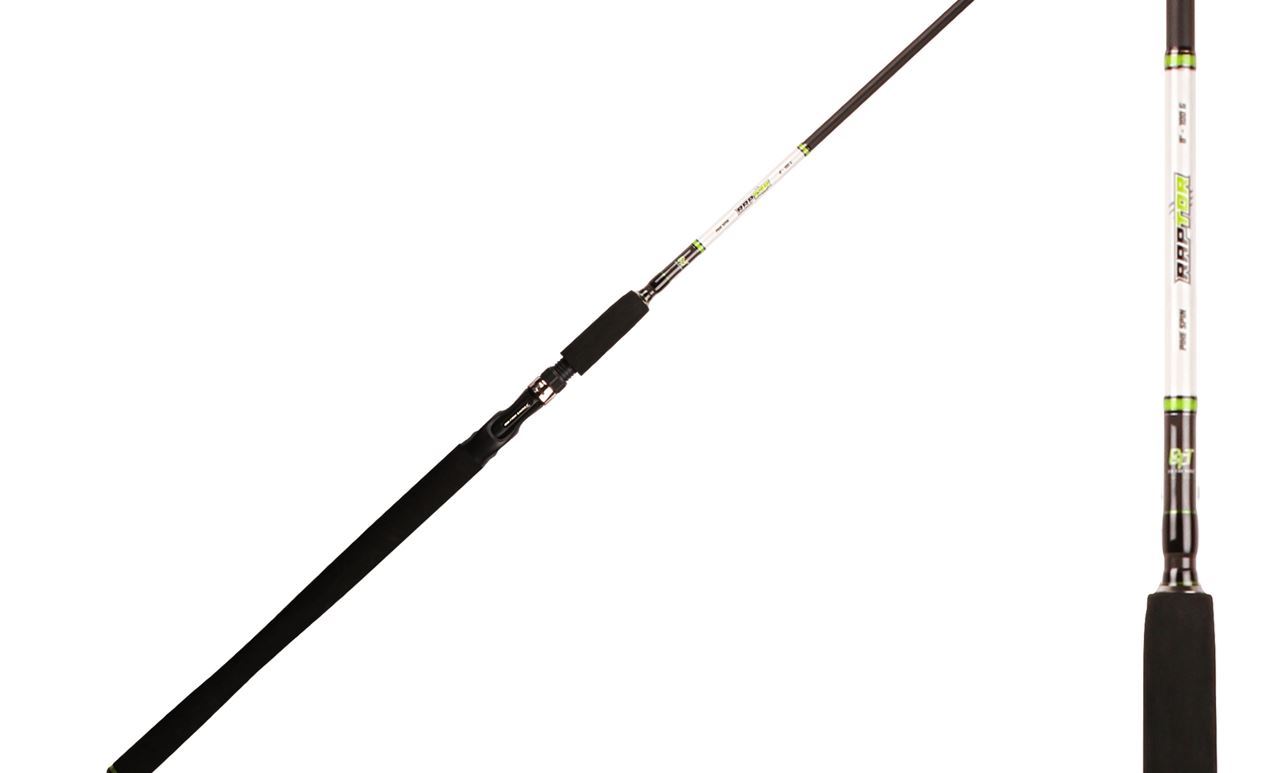 Picture of BFT Raptor Pike Multi 8' -100g