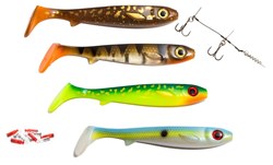 Picture of Flatnose Shad - Fall 2017 Bundle