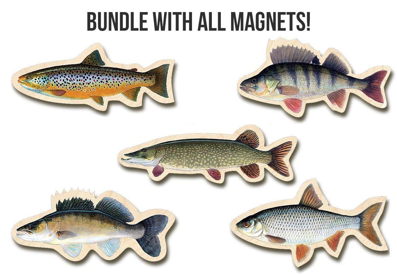 Picture of Fish Magnets Bundle