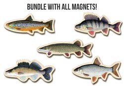 Picture of Fish Magnets Bundle