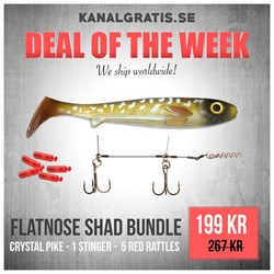 Picture of Flatnose Shad - Crystal Pike Bundle