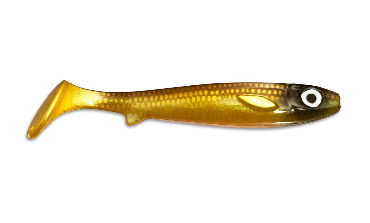 Flatnose Shad - Golddigger - Kanalgratis