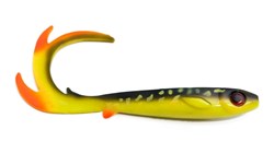 Picture of Flatnose Dragon - Hot Pike