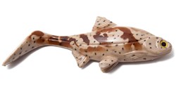 Picture of Hooligan Roach - Grouper