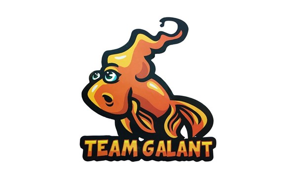 Bild på Sticker - Team Galant