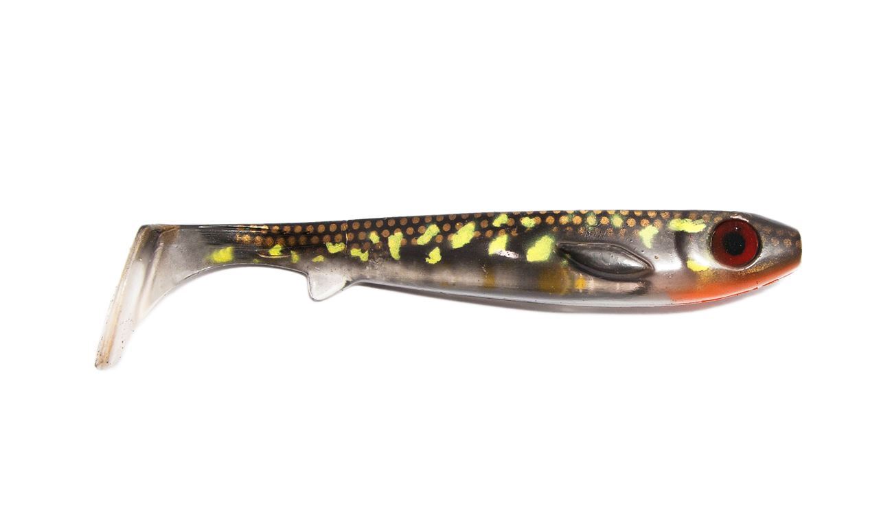 Picture of Flatnose Shad - Platinum Pike