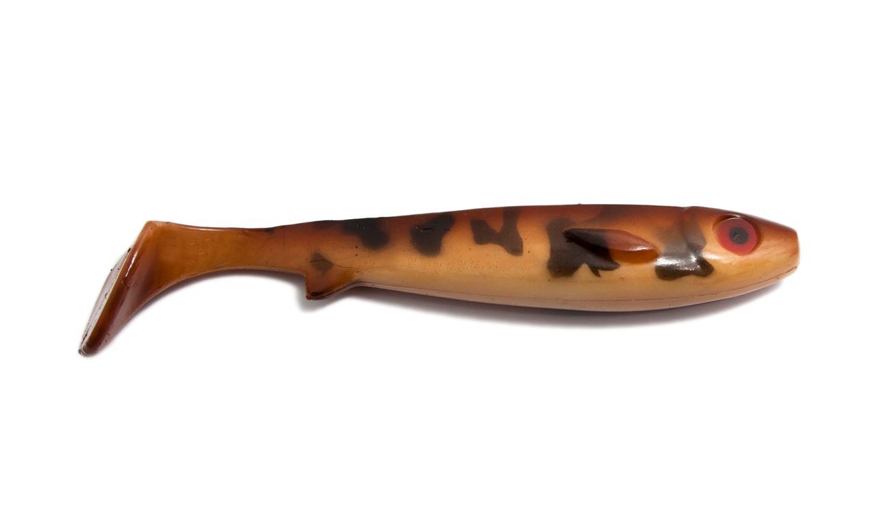 Picture of Flatnose Shad - Natural Eelpout