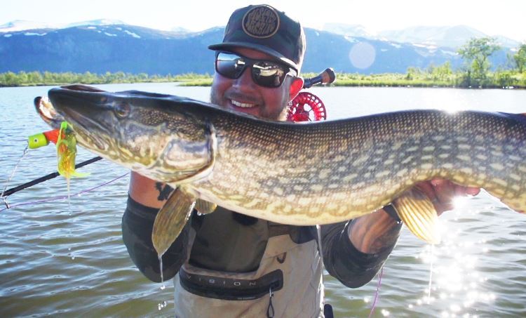 Picture of Howitzer Popper Heads Medium