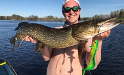 Picture of Nettel Laken - Hot Pike