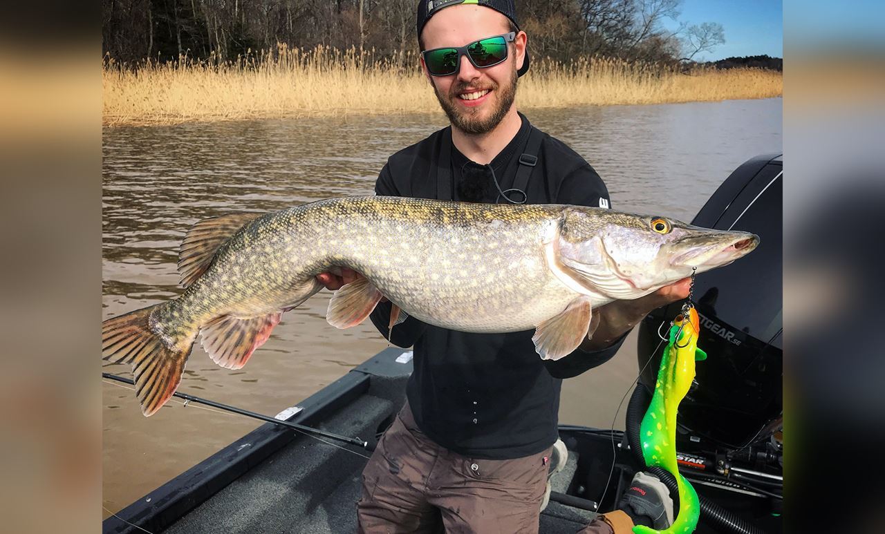 Picture of Nettel Laken - Hot Pike