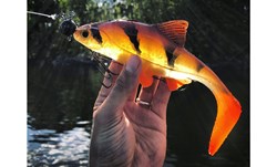 Picture of Hooligan Roach - Transparent Perch