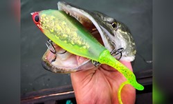 Picture of Muddy Water Bundle - Pike