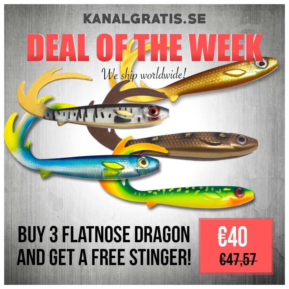 Picture of 3 Flatnose Dragon of your choice - stinger for free