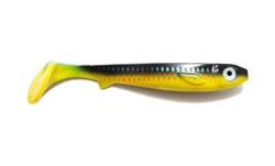 Picture of Flatnose Shad - Parrot