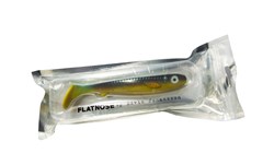 Picture of Flatnose Shad - Parrot