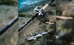 Picture of NEW Gator SWIMBAIT Explorer 7'10" - 110 gr (2-piece) Baitcasting