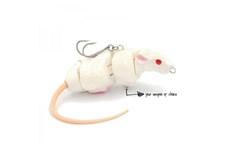 Picture of Lucky RAT - Lab Rat (Lucky Lures)