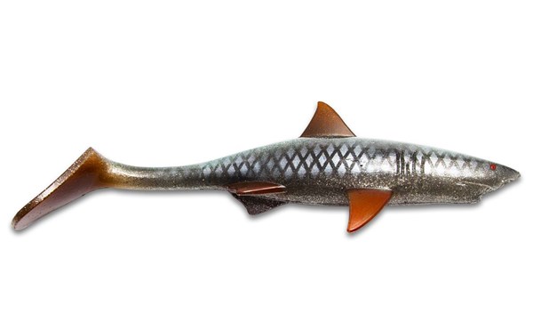 Bild på Shark Shad - Real Roach 20 cm