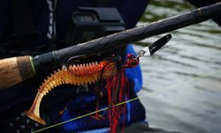Picture of Spinning Combo Perch Fishing - Rod, Reel & Line from Gunki
