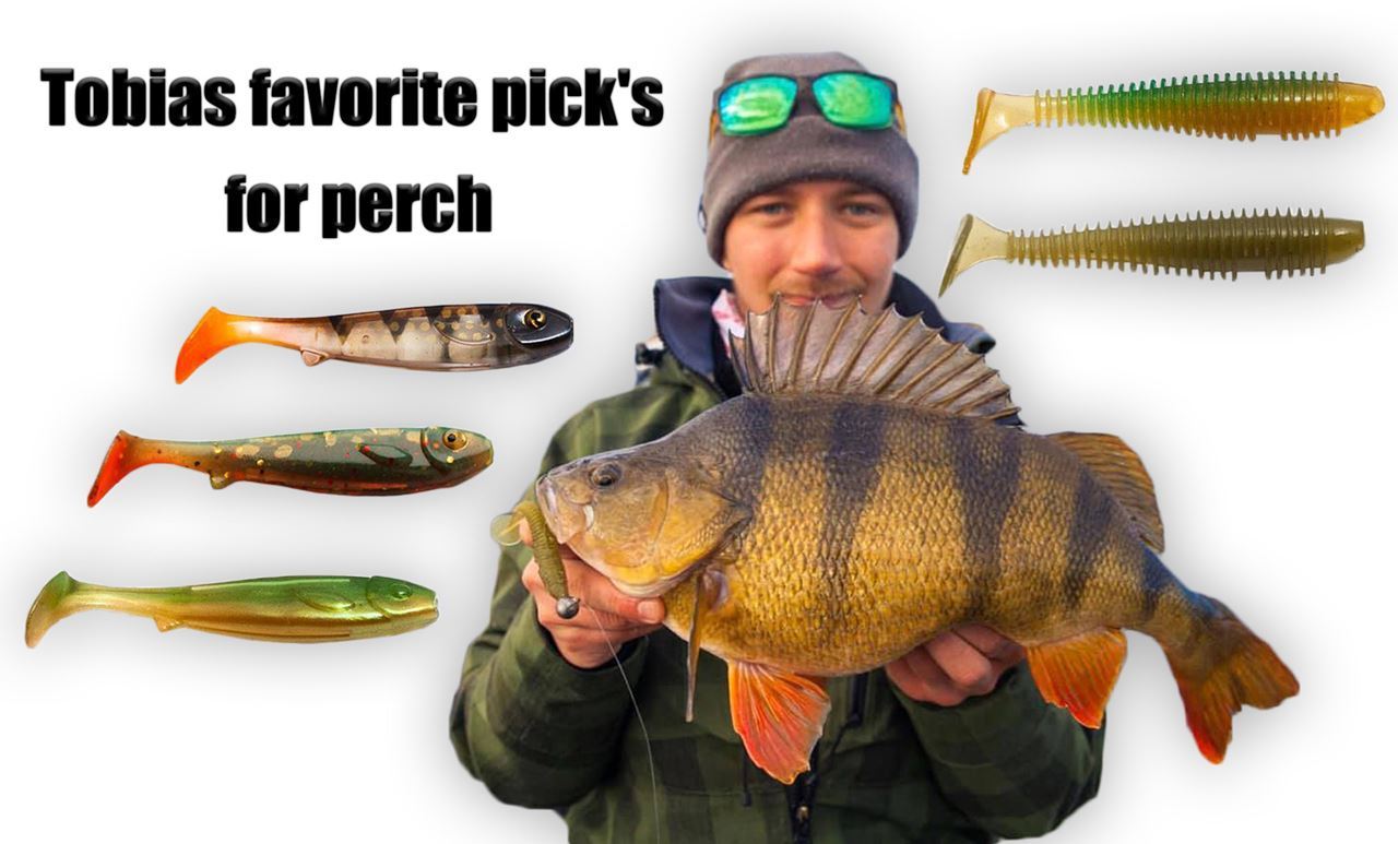 Picture of Tobias Ekvall's Perch Fishing Pick