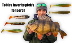 Picture of Tobias Ekvall's Perch Fishing Pick