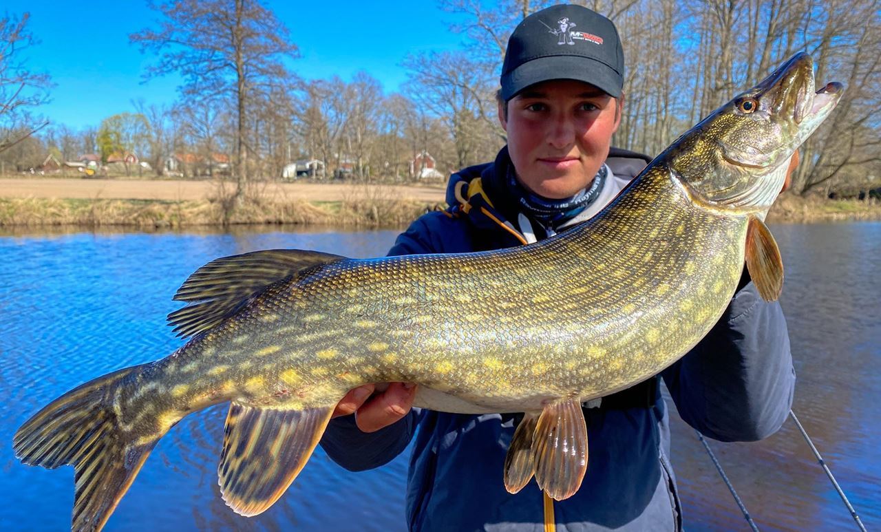 Picture of M-WAR Keps