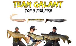 Picture of TEAM GALANT - Pike bundle