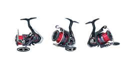 Picture of Daiwa 20 Fuego LT Haspelrulle 2000