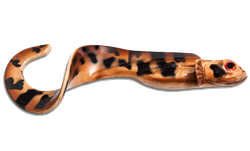 Picture of Nettel Laken - Natural Eelpout