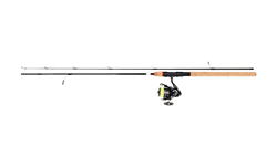 Picture of Daiwa Combo Ninja LT25 BS/802, 10-40g, Haspel