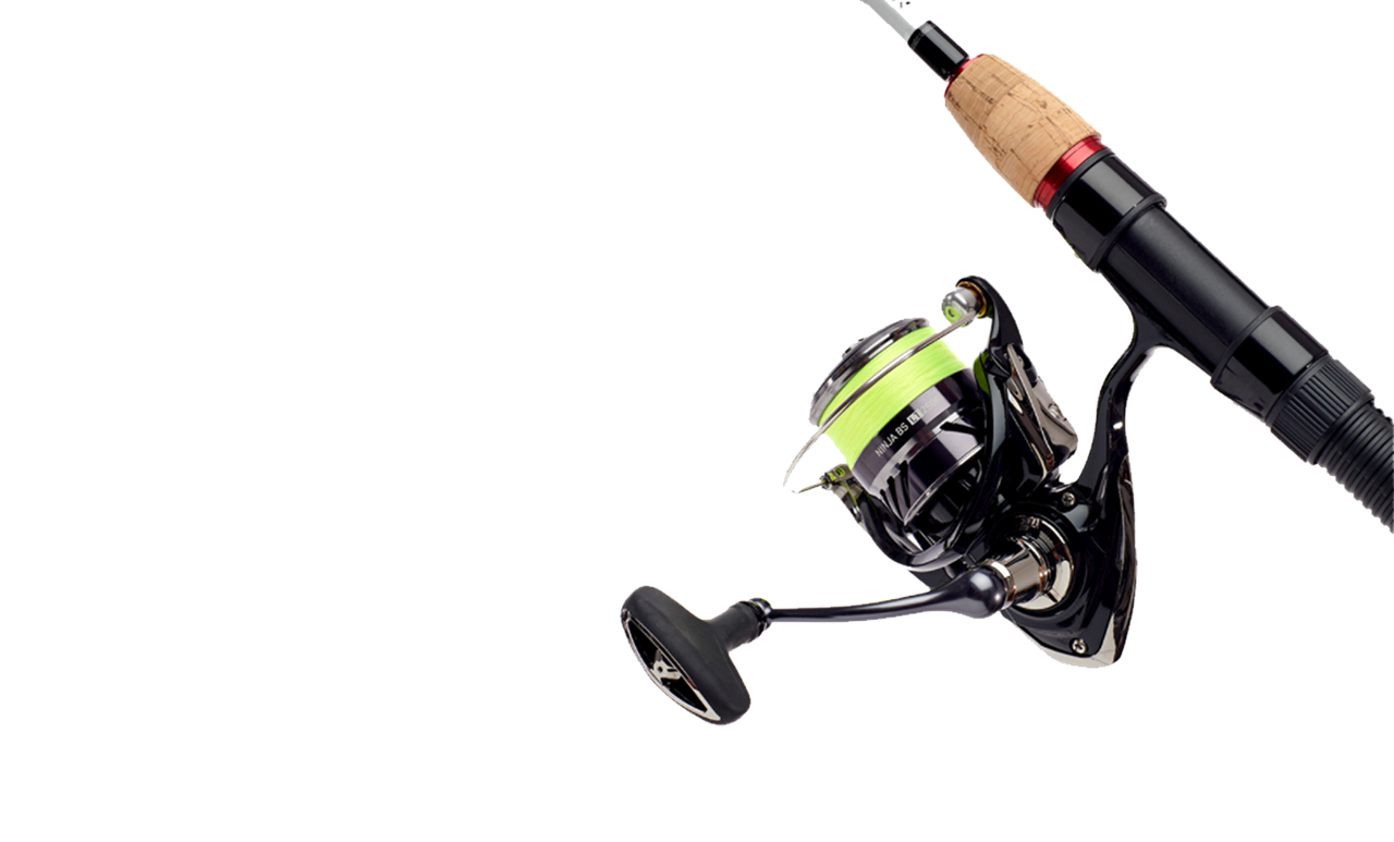 Picture of Daiwa Combo Ninja LT25 BS/802, 10-40g, Haspel