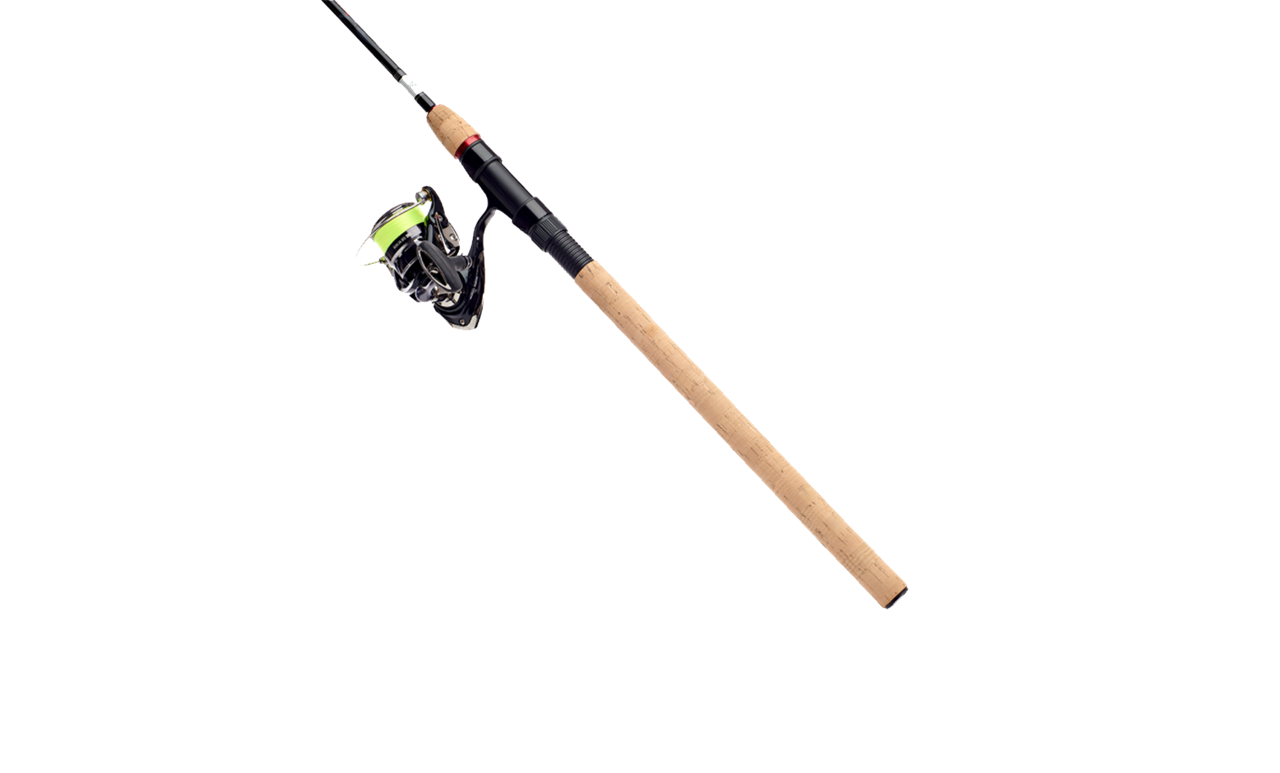 Picture of Daiwa Combo Ninja LT25 BS/802, 10-40g, Haspel